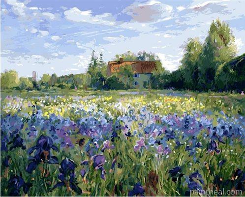 Iris Flowers Field Painting By Numbers Kits