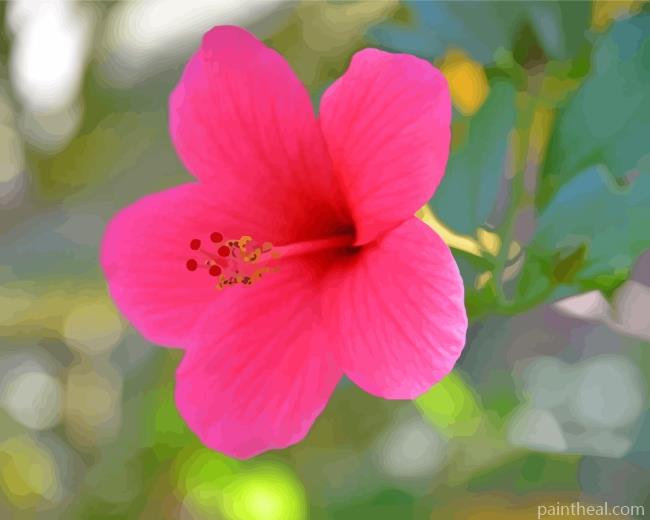 Blooming Pink Hibiscus Painting By Numbers Kits