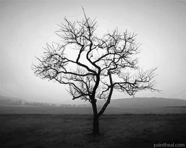 Dark Tree Black And White Painting By Numbers Kits