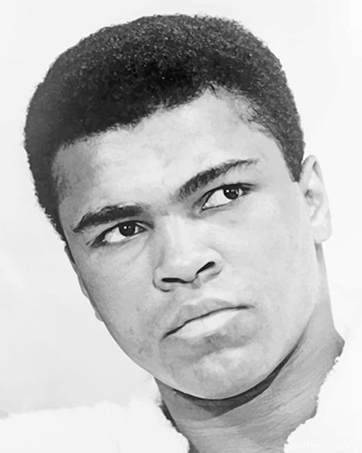 Muhammad Ali Painting By Numbers Kits