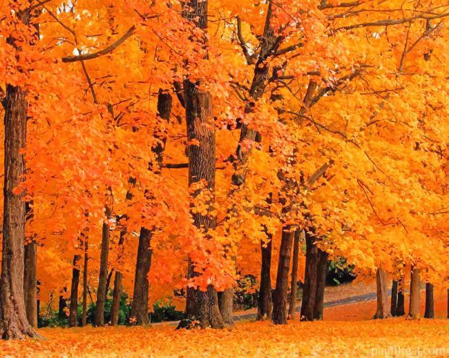 Orange Trees Fall Painting By Numbers Kits