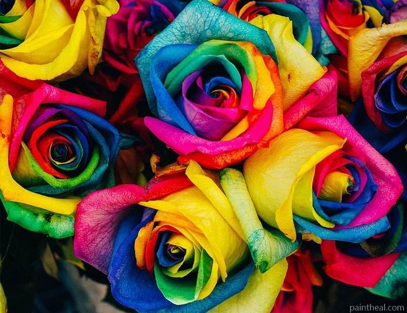 Colorful Roses Painting By Numbers Kits