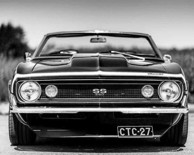 Black Camaro Chevrolet Painting By Numbers Kits