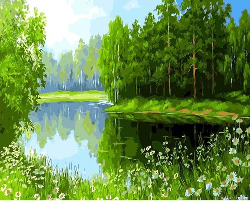 Green Trees Painting By Numbers Kits