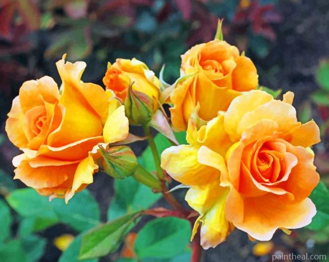 Blooming Orange Roses Painting By Numbers Kits