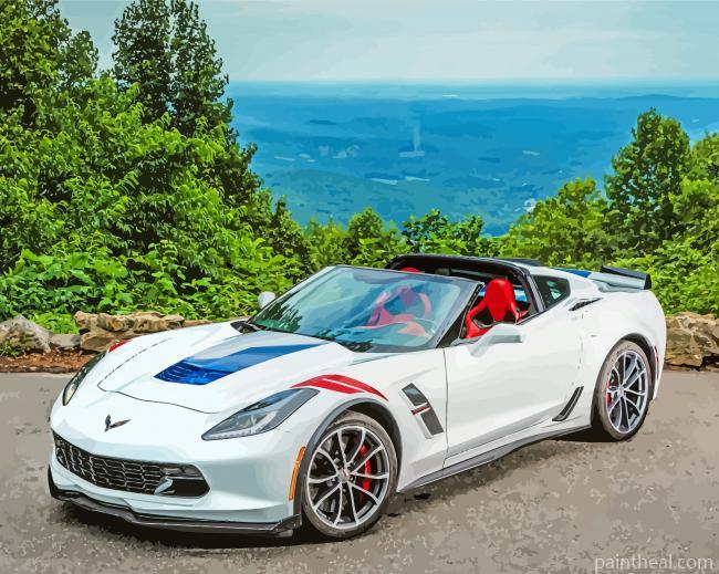 White Corvette Grand Sport Painting By Numbers Kits