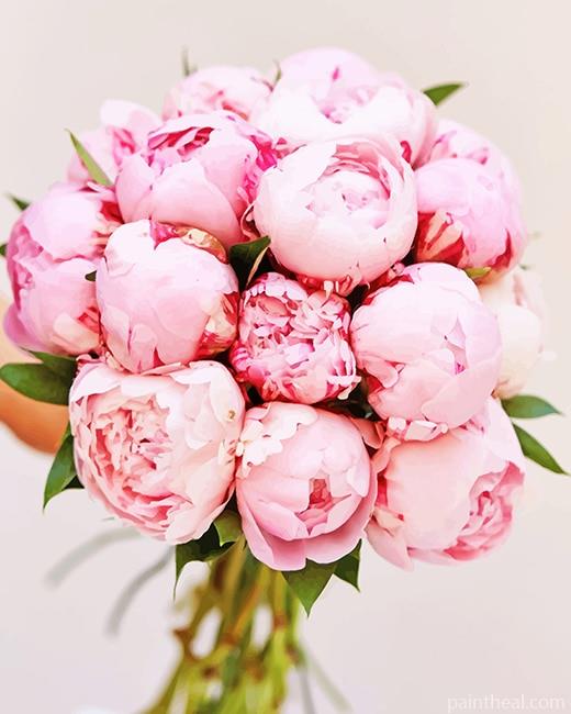 Flowers Bouquet Pink Peony Painting By Numbers Kits