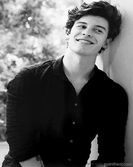 Black And White Shawn Mendes Painting By Numbers Kits
