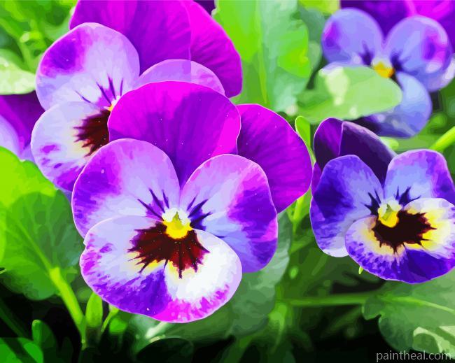 Violets Flowers Painting By Numbers Kits