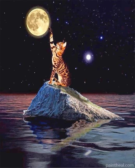 Cat Touching Moon NEW Painting By Numbers Kits