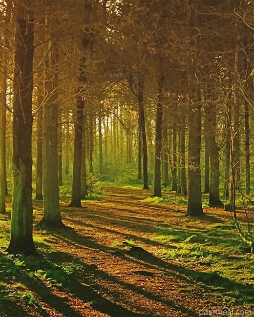 Magical Forest NEW Painting By Numbers Kits