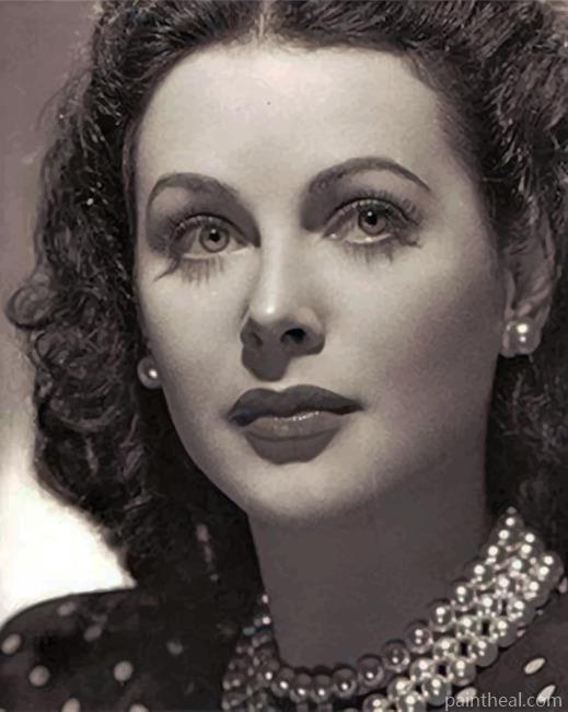 Black And White Hedy Lamarr Painting By Numbers Kits