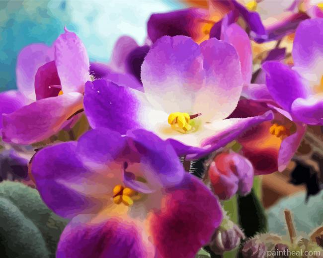 Close Up African Violets Painting By Numbers Kits
