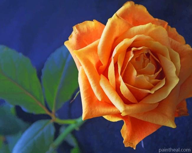 Orange Flower Rose Painting By Numbers Kits