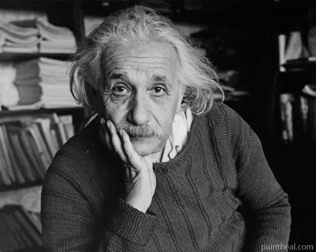 Albert Einstein Stare Painting By Numbers Kits