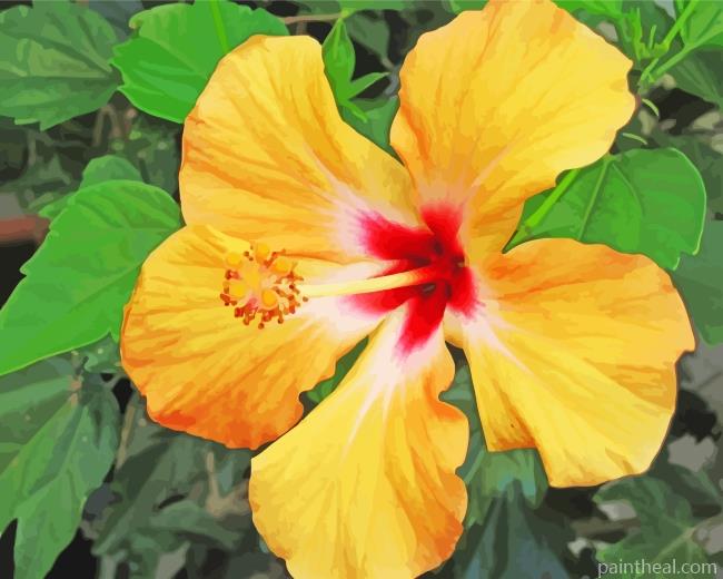 Yellow Hibiscus Painting By Numbers Kits