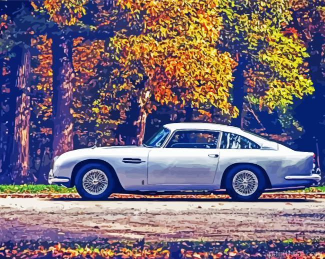 Grey Aston Martin DB5 Car Painting By Numbers Kits