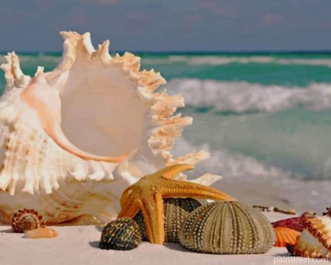 Seashell On Sand Painting By Numbers Kits