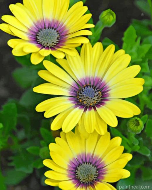 Yellow Daisies Painting By Numbers Kits