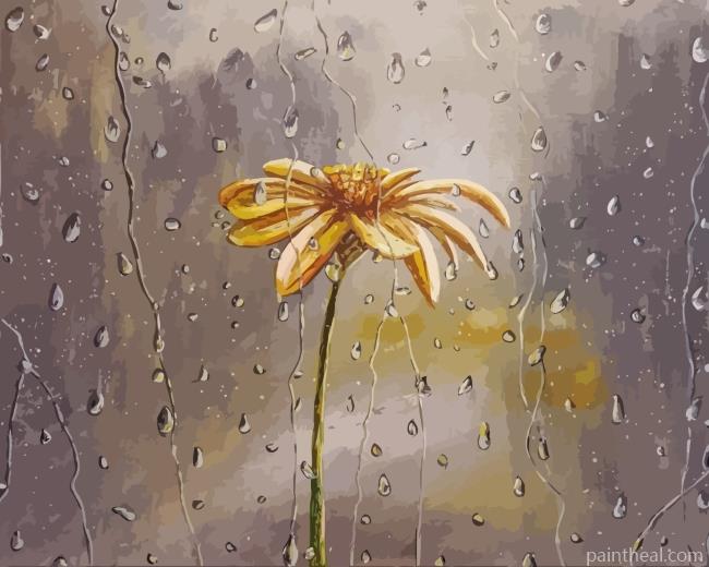 Flower In Rain Painting By Numbers Kits