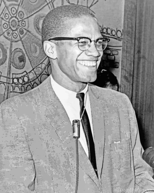 Malcolm X Smiling Painting By Numbers Kits