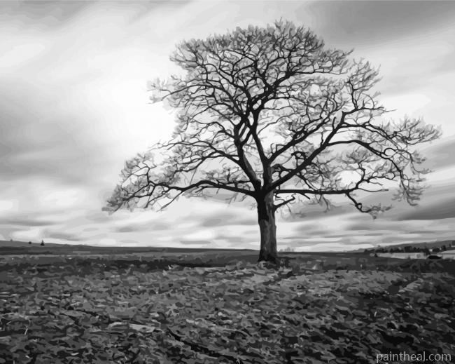 Black And White Dark Tree Painting By Numbers Kits