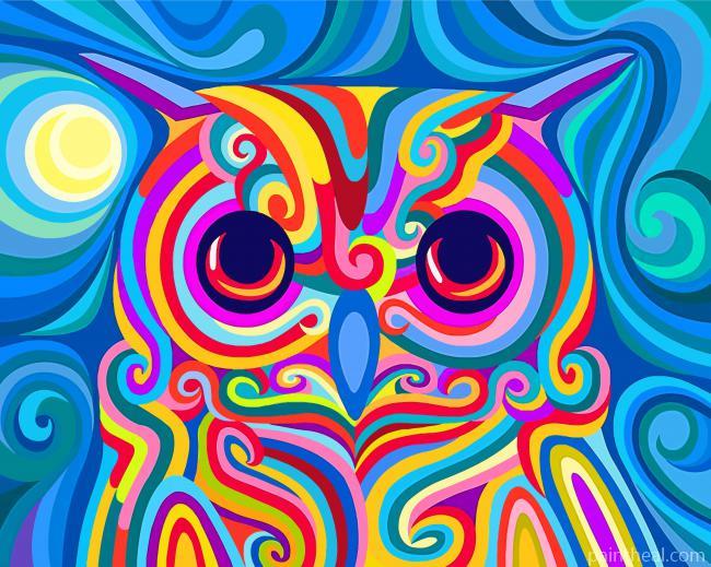 Colorful Owl Painting By Numbers Kits