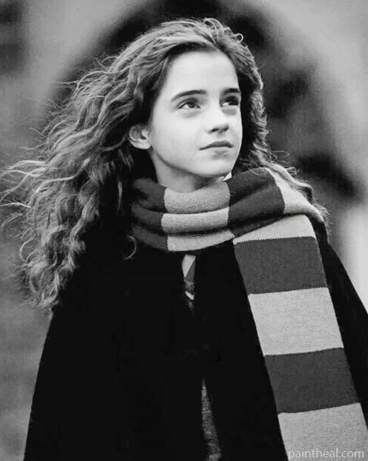 Black And White Hermione Granger Painting By Numbers Kits