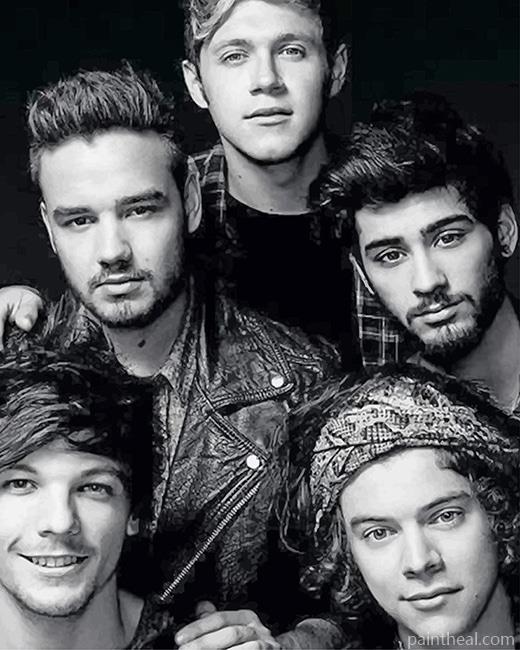 One Direction Black And White Painting By Numbers Kits