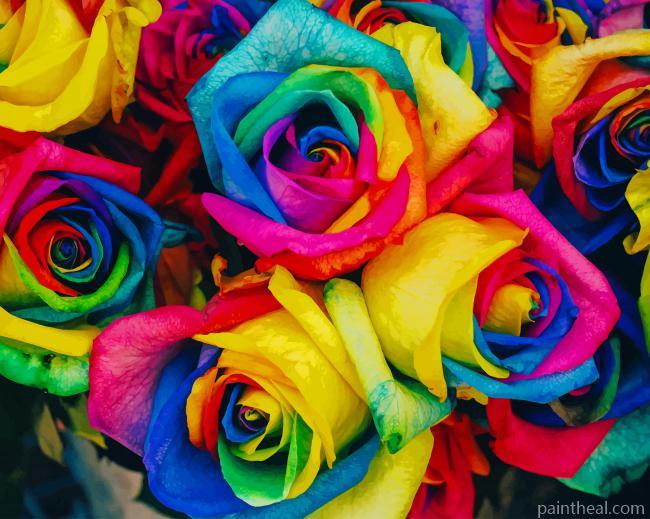 Rainbow Flowers Painting By Numbers Kits