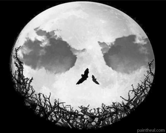 Jack Full Moon Painting By Numbers Kits
