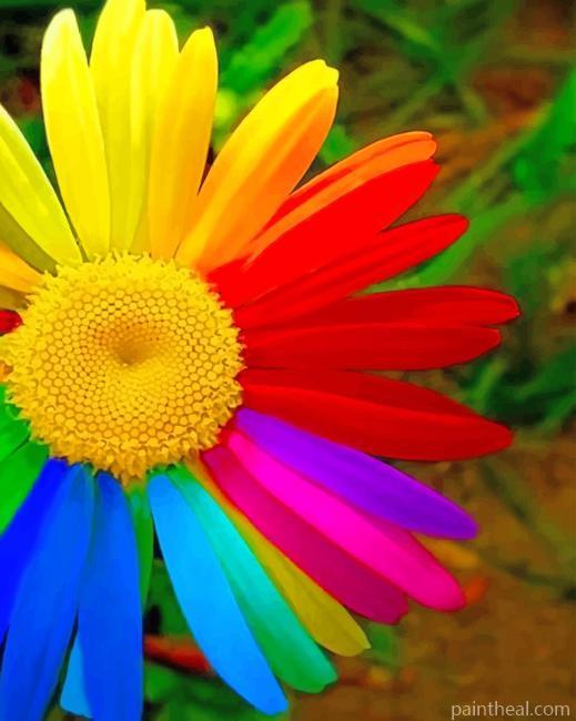 Colorful Flower Painting By Numbers Kits