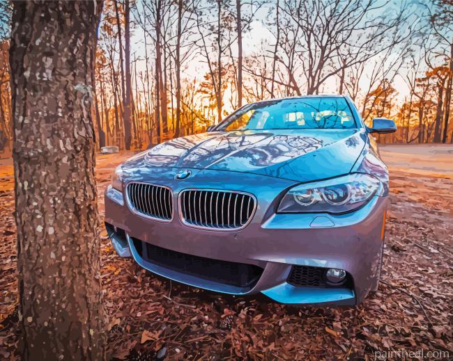 BMW 535i Sport Car Painting By Numbers Kits