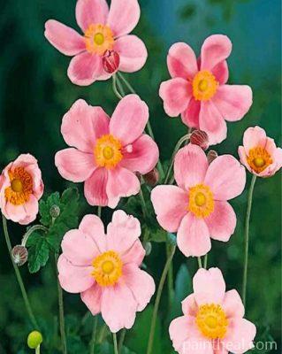 Pink Anemone Painting By Numbers Kits