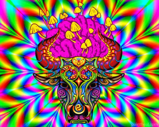 Psychedelic Animal Painting By Numbers Kits