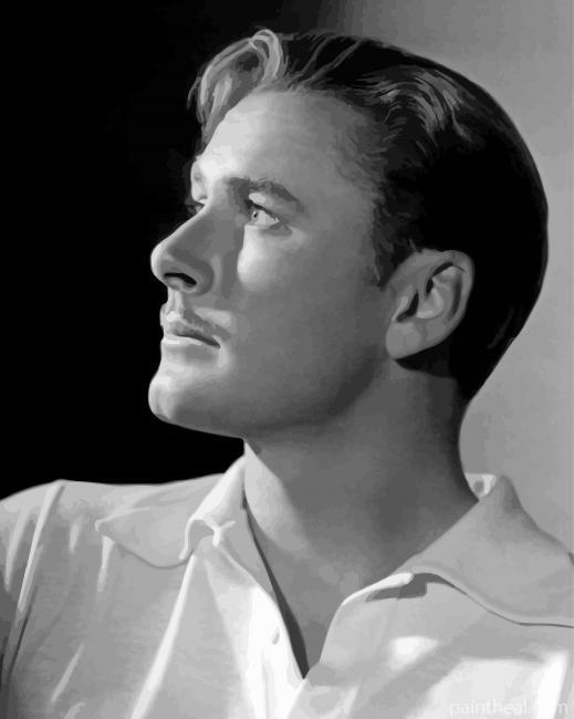 Black And White Errol Flynn Painting By Numbers Kits