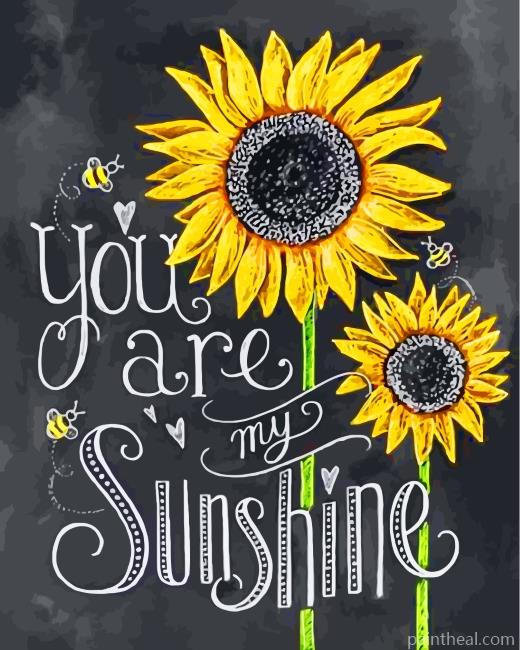 You Are My Sunshine Painting By Numbers Kits