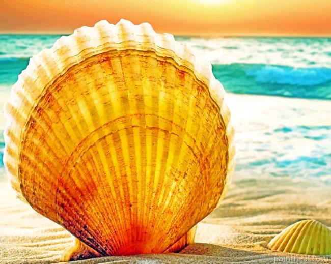 Shells On Beach Painting By Numbers Kits