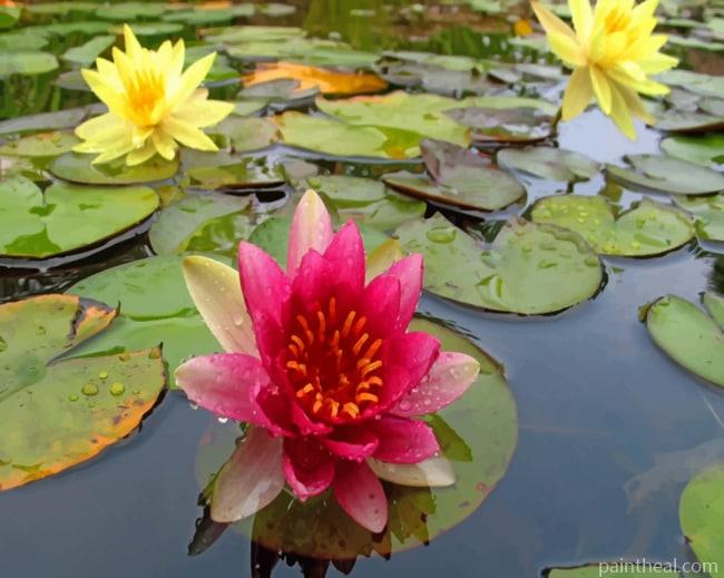 River Water Flowers Painting By Numbers Kits