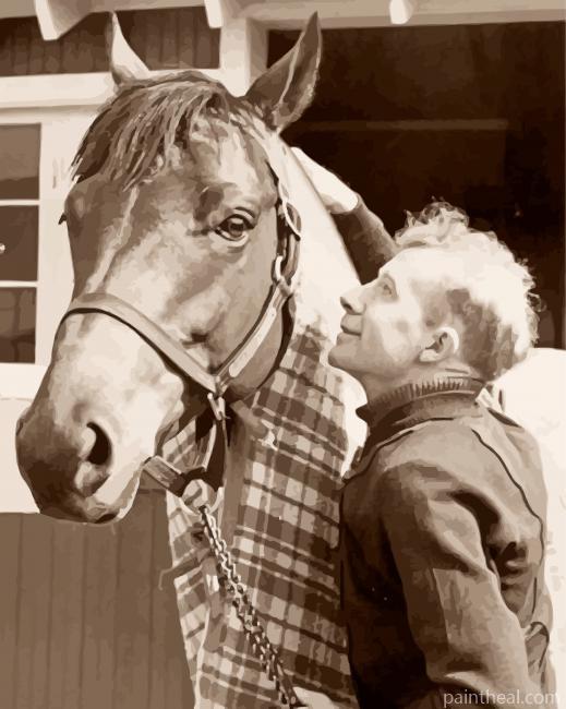 The Horse Seabiscuit Painting By Numbers Kits