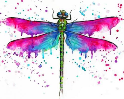Colorful Dragonfly Painting By Numbers Kits