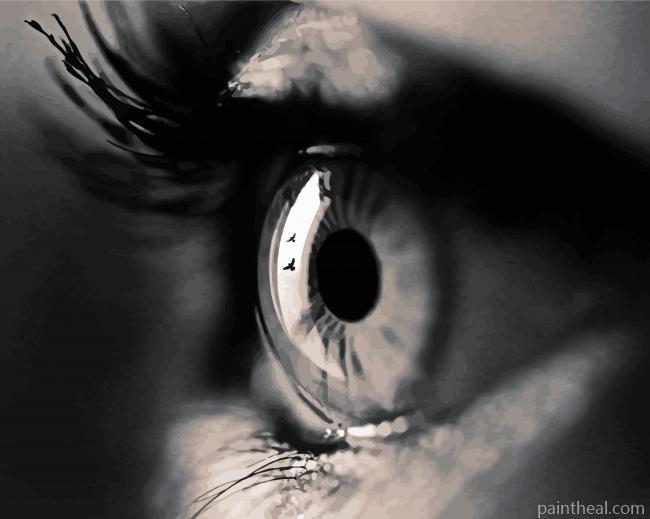 Black And White Eye Painting By Numbers Kits
