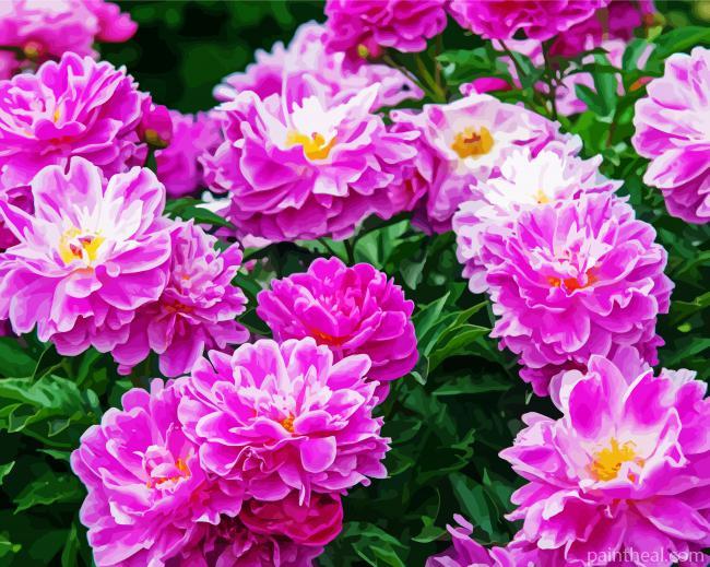 Purple Perennial Flowers Painting By Numbers Kits