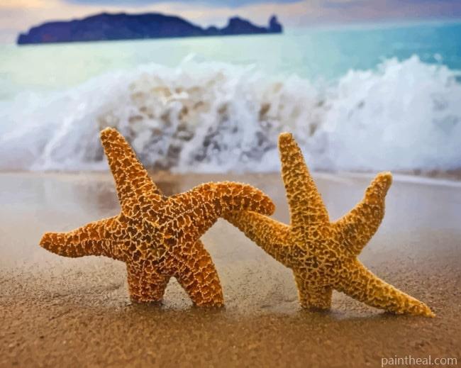 Starfishes In Beach Painting By Numbers Kits