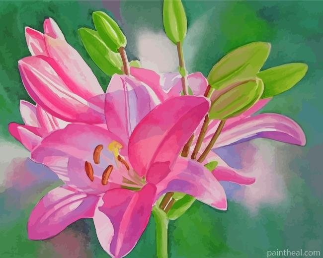Blooming Pink Lilies Painting By Numbers Kits