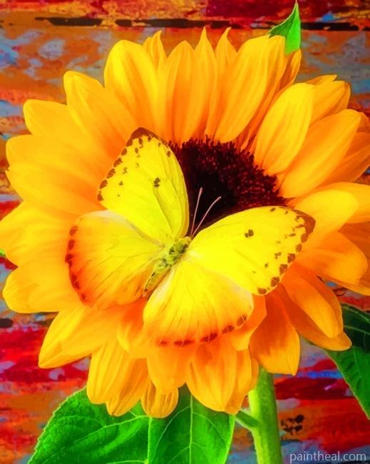 Butterfly On Sunflower Painting By Numbers Kits