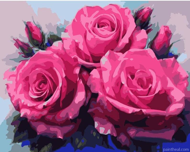 Pink Roses Painting By Numbers Kits