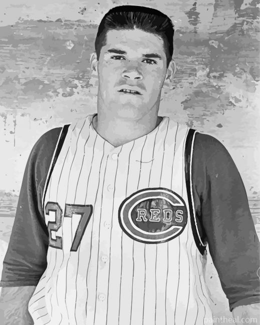 Young Pete Rose Painting By Numbers Kits