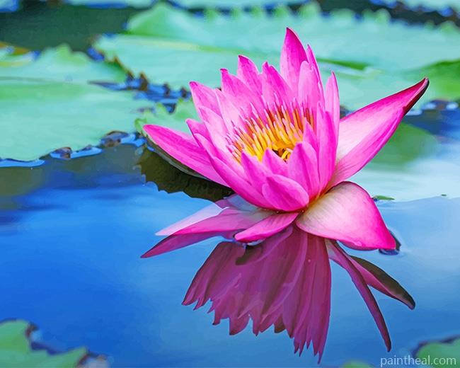 Pink Water Lily Painting By Numbers Kits