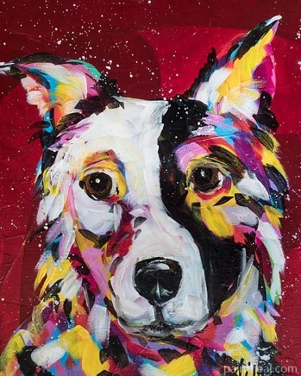 Border Collie Dog Animals Painting By Numbers Kits